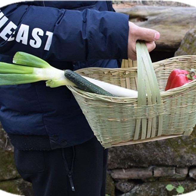 대나무 피크닉 바구니 라탄 손잡이 소품 소형, 1개, C. 선박형 소형 30x16x16
