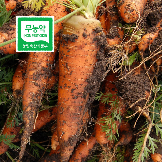 [한국유기팜] 국내산 친환경 무농약 흙당근 1kg 2kg 3kg 5kg, 1박스