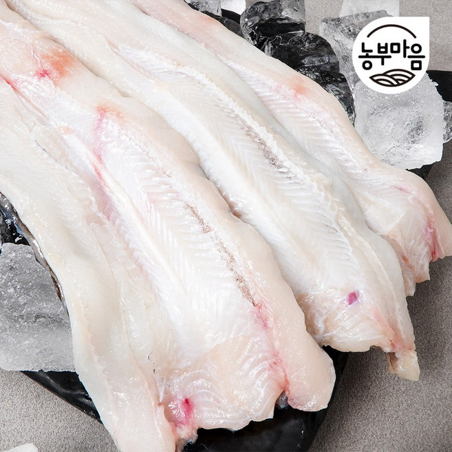 자연산 통영 바다장어 붕장어 아나고 1kg 대, 1개