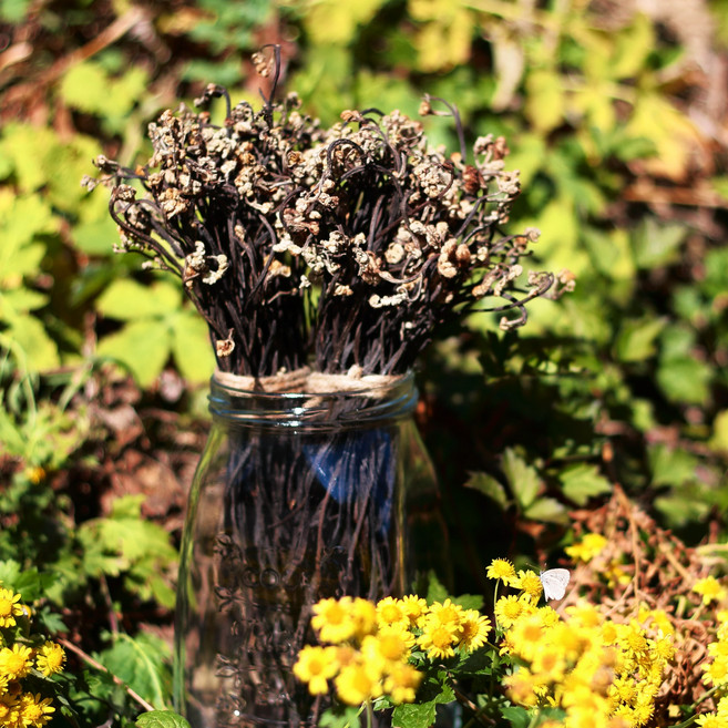 온유네 최상품 국산 친환경 유기농 최고등급 개구리 햇 먹고사리, 먹고사리 200g, 1개