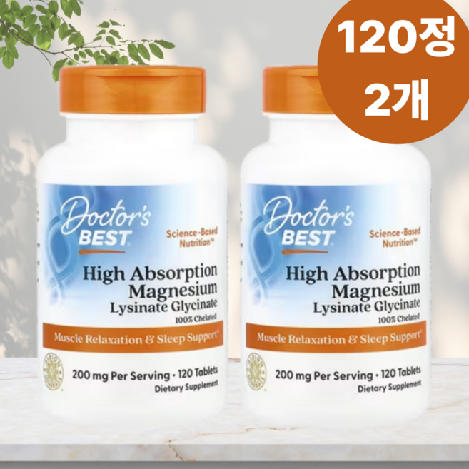 2+1 닥터스베스트 하이 앱솔션 마그네슘 100mg 120정 High Absorption, 2개