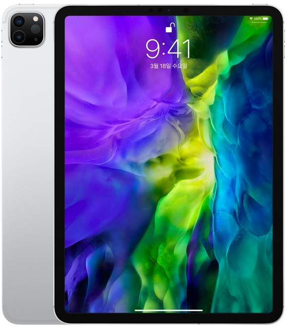 Apple iPad Pro 11 2세대, 실버, 128GB, Wi-Fi
