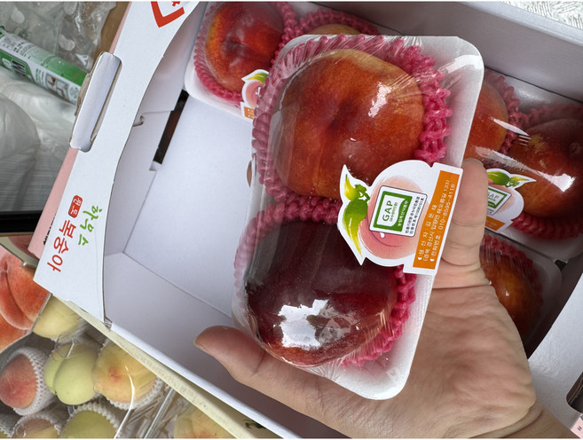 [프리미엄등급] 단단한 식감의 신선함 가득한 하우스 천도 복숭아, 1박스, 1kg혼합과