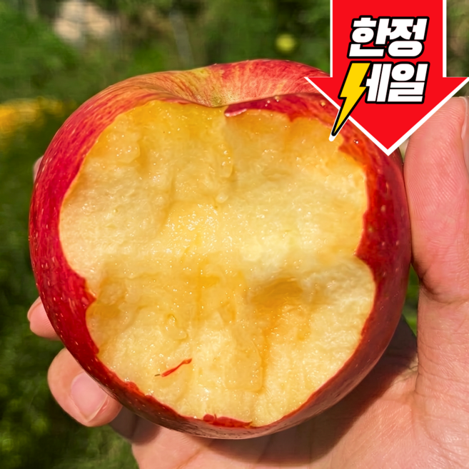 [파격특가] 초고당도 껍질째먹는 꿀 부사사과, 1개, 10kg