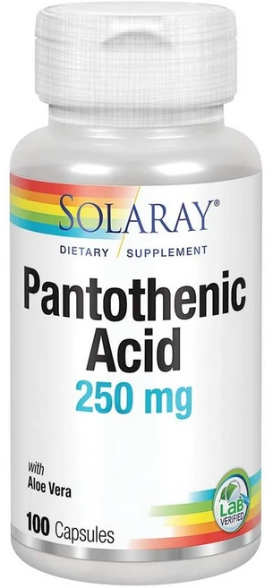 Solaray 솔라레이 판토텐산 B5 효능 250mg (100 캡슐), 1개, 100정 - 쿠팡