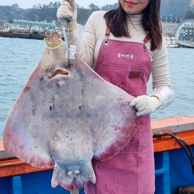 (홍어여왕) 흑산도 홍어 흑산홍어 국산 국내산 삭힌 싱싱 날개살 회 묵 코 삼합 택배 300g 500g 600g 1kg (수제초장 포함), 강, 1개