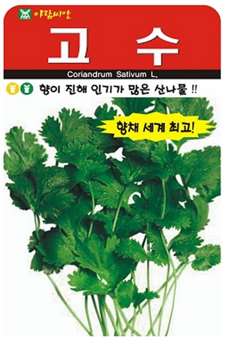 아람종묘 고수 씨앗 300립, 1개