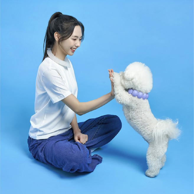 코코링 강아지 넥쿨러 커플세트 PCM 아이스링 애견 쿨링 밴드 목 시원한 여름 산책 용품, 1세트, 라이트 퍼플