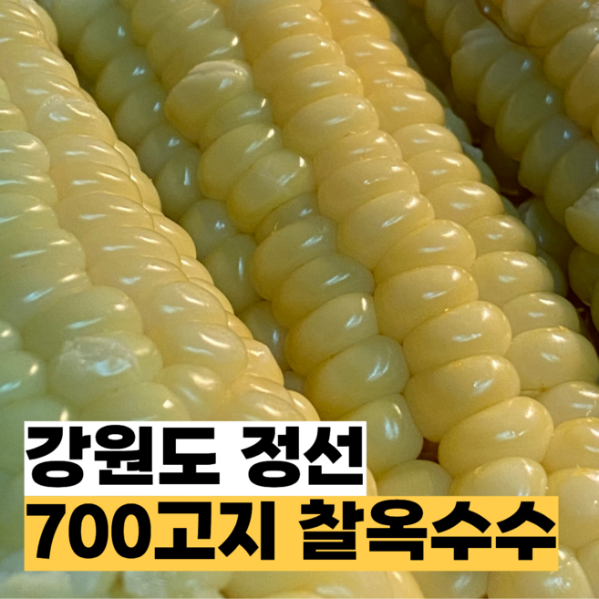 7위 - 강원도 미백찰옥수수 찐 냉동 생옥수수, 12개, 미백찰 냉동옥수수(중사이즈)(진공)