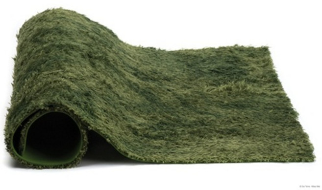 [EXO-TERRA] 이끼매트 중, 1개