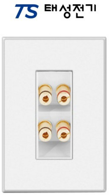 태성전기 틸인스 화이트스노우(무광) 바나나잭 2구