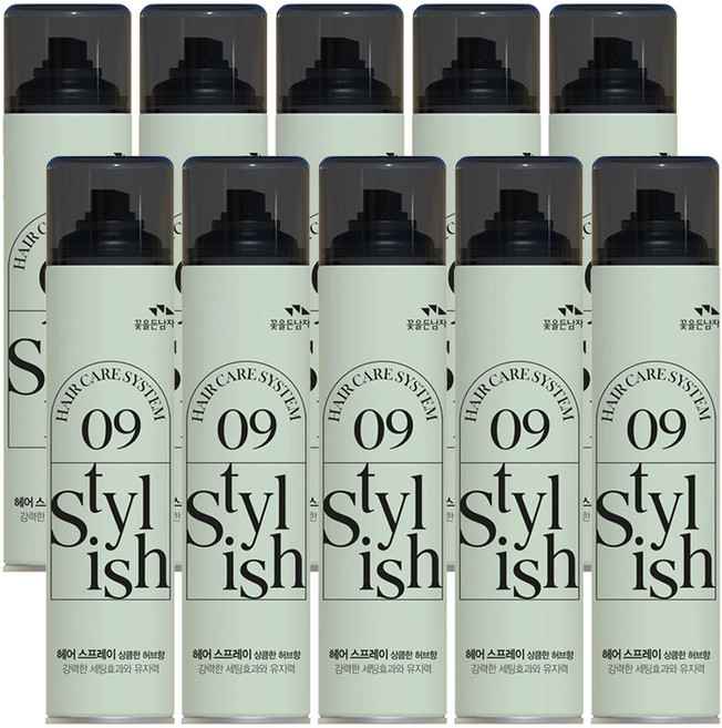 꽃을든남자 헤어케어 시스템 스타일리쉬 09 스프레이 상큼한 허브향, 300ml, 10개