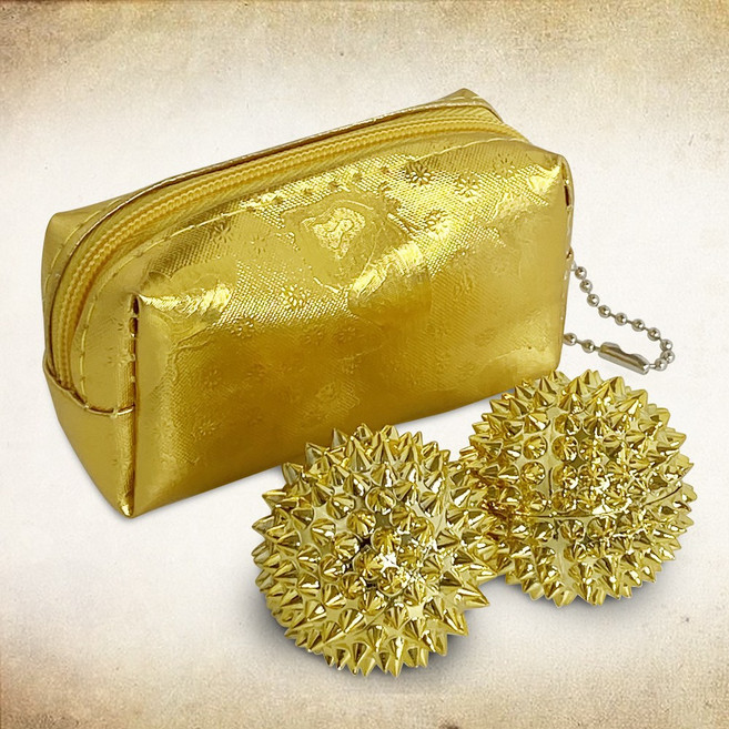 허준 황금 수지침 (파우치) 손지압 마사지 혈침 지압볼, 1개, 골드계열