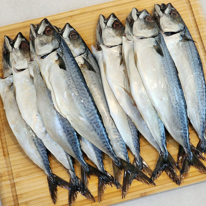 대짜 부산 간고등어 다대포고등어 참고등어 부산 자반고등어 냉동고등어 국산고등어 손질 고등어, 5개, 270g