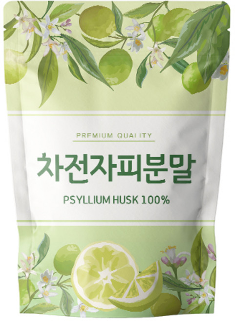 닥터릴리 차전자피분말 가루, 1개, 500g