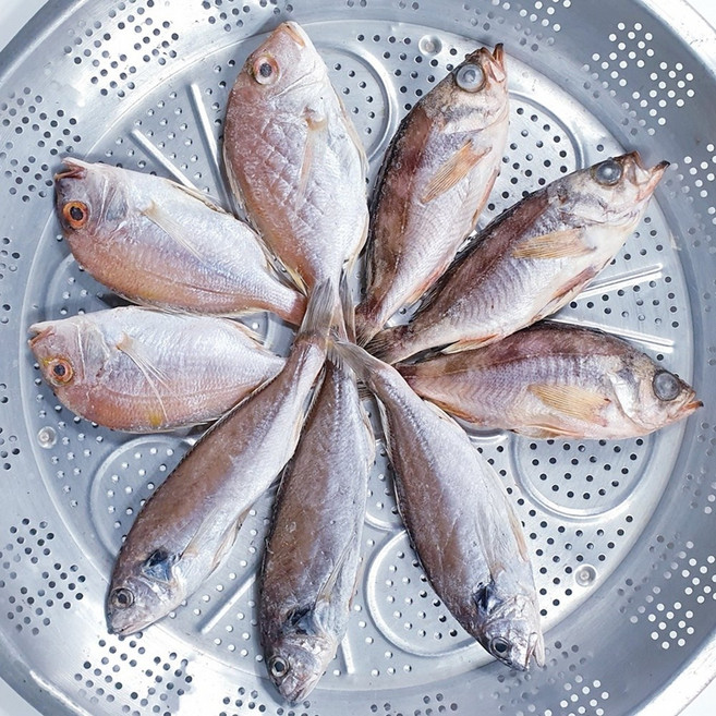 1인용 삼천포 용궁수산시장 반건조 생선 (소) - 볼락/꽃돔/백조기 각2~3미, 꽃돔 2~3미, 1개