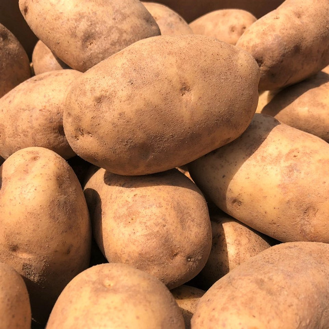 포근포슬 러셋 감자 russet 웨지 포테이토 미국, 1박스, 20kg