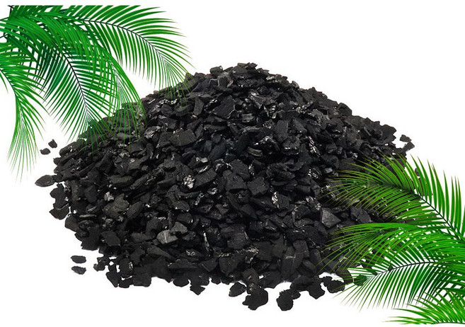 야자 활성탄 취향대로 고르기 50 100 700 수질정화 공기정화 냄새탈취 불순물제거, 50g, 1개