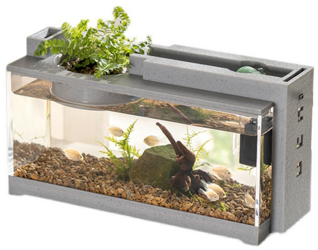 伊德萊斯 桌上型生態魚缸 USB靜音過濾水族缸 造景魚缸, 石灰色, 1個