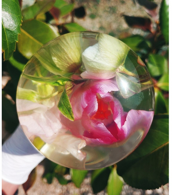 (SG) new 고체 하바리움용액 솔리디움 solidium 2kg (A 1kg+B 1kg)