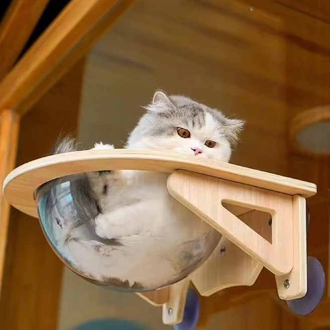 요기요기 고양이 창문 투명해먹 캣볼, 우드, 1개