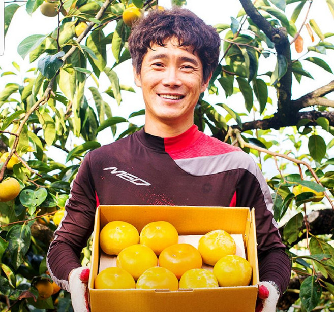 (농가직송) 진짜 달고 맛있는 아삭아삭 고당도(16brix) 철이네 단감 10KG, 45과 내외(중과)