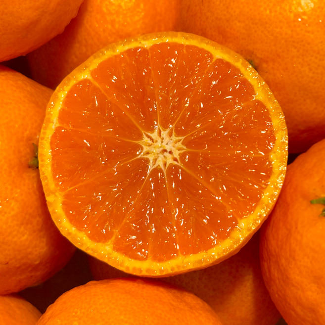 초고당도선별 새콤달콤 과즙팡 제주정품 카라향, 1박스, 2kg