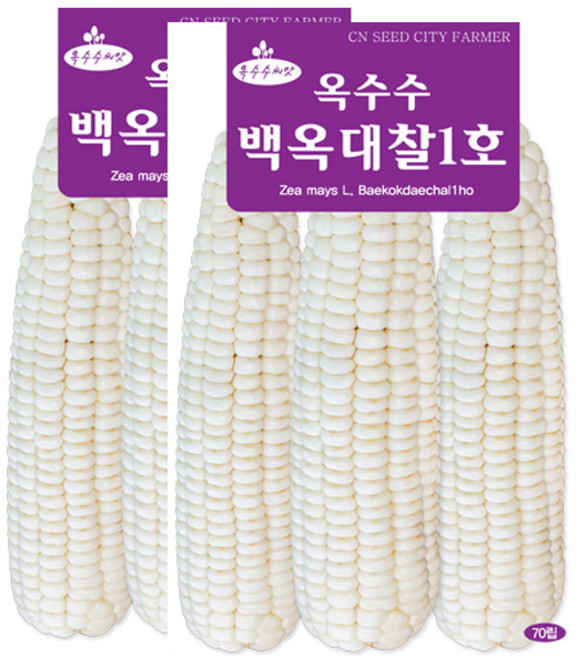 세인화분 백옥대찰1호 옥수수 70립 - 씨 씨앗 찰옥수수, 2개