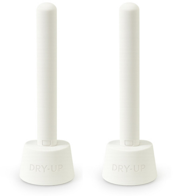 드라이 업 규조토 퀵 드라이 스틱 스텐드형 수분 흡수 제습, 2개, 100g