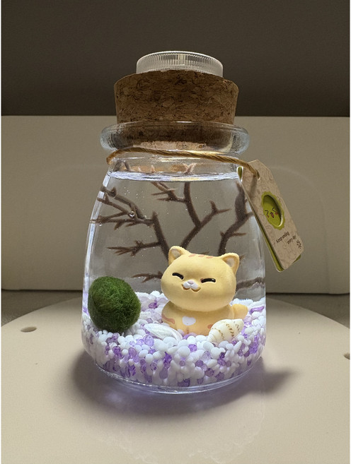 喜澡樂 Tiny world 療癒景觀生態瓶 Marimo, 5個