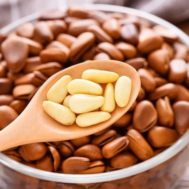 천연 잣 고급 황잣 백잣 유기농 껍질 있는 수입잣, 1개, 500g