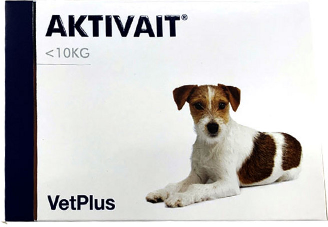 벳플러스 강아지 소형견 액티베이트 영양제 20g, 60정, 면역/항산화, 1개