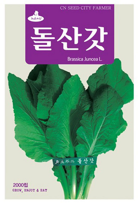 돌산갓씨앗 갓씨 2000립, 2개