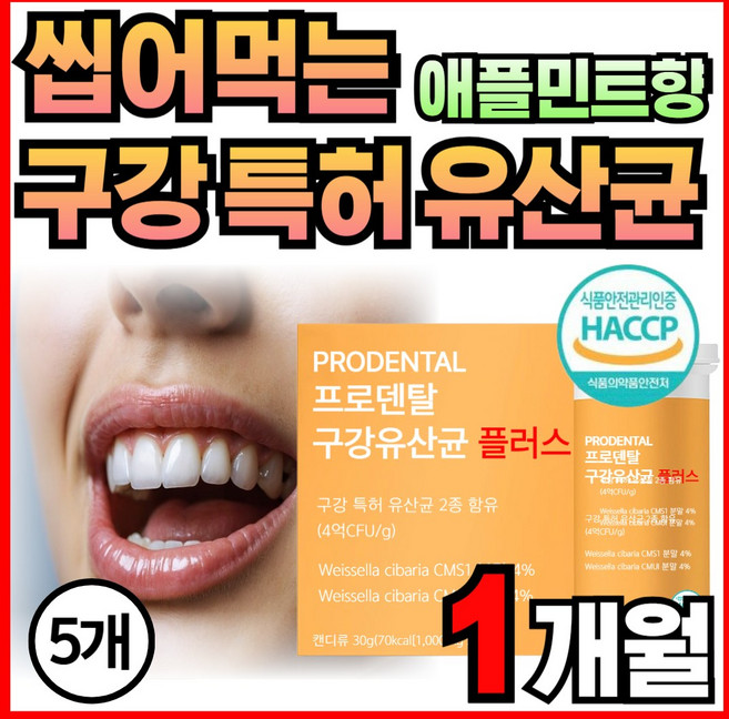 특허 구강 유산균 프로덴탈 구취 관리 입 냄새 무설탕 자일리톨 유해균 관리 상쾌한 애플민트향 씹어먹는 HACCP 인증, 5개, 30정
