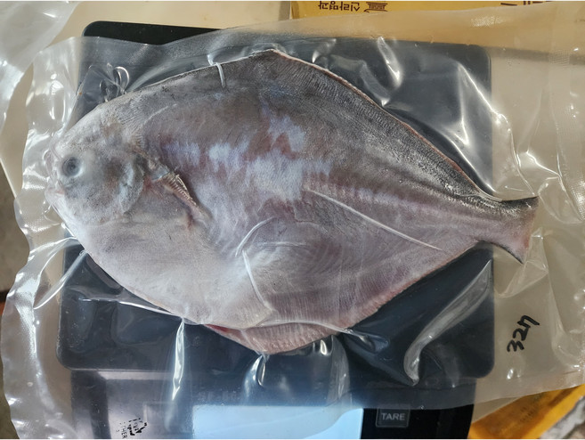 완도 급냉 손질병어 횟감용 특대 300g 병치 덕자, 횟감용 병어특대1미 손질후 300g이상, 1개