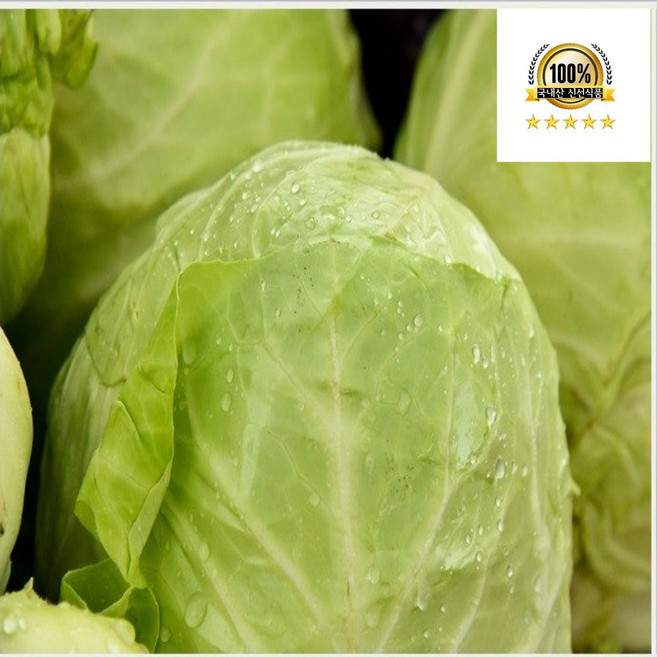 국내산 양배추 특 1통 (3kg 내외), 1개, 6kg