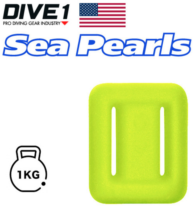 [다이브원] 스킨 스쿠버 프리 다이빙 콤팩트 알납 일반 납 웨이트 1Kg (미국산), 상세 설명 참조