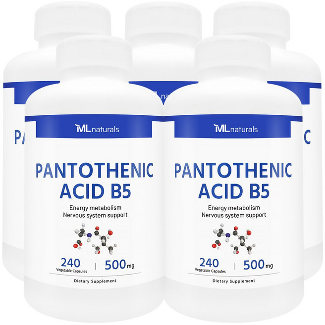 [미국번개배송] 신제품 착한명품 마이라이프 내추럴스 판토텐산 B5 500mg, 5개, 240정