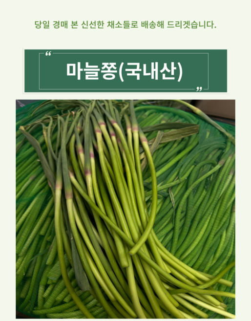 한정수량 신선한 국내산 햇 마늘쫑, 2kg, 1개