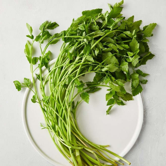 [농장직송 청도미나리] 당일수확 명품 청정 청도 미나리 특품, 1개