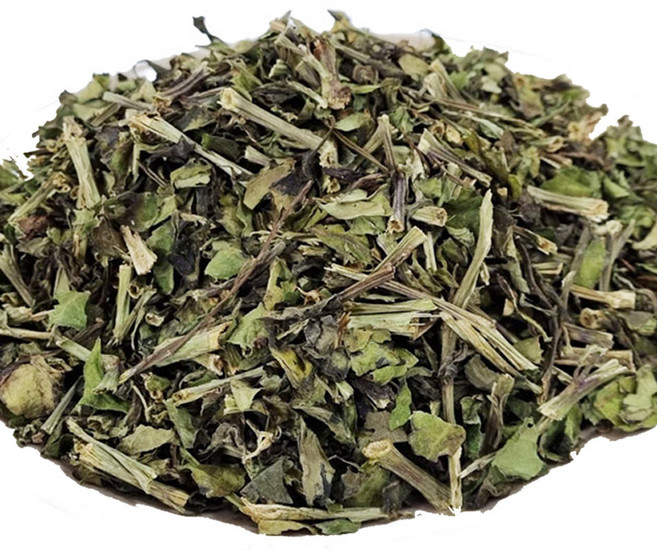 약초약선생 국산 명월초 100g, 1개