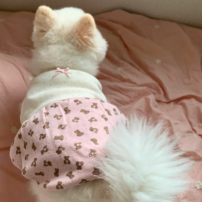 [귀여운아방핏] 강아지몸빼 강아지 호박바지 원피스, 브라운, 1개