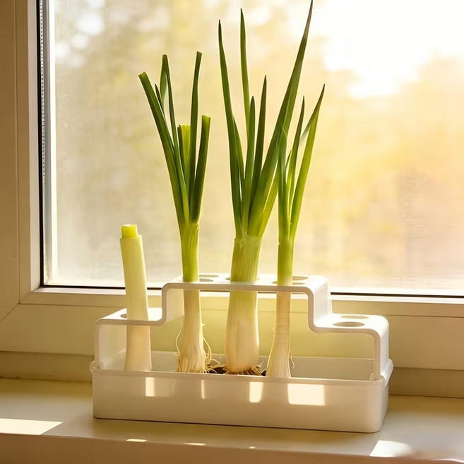 대파 재배기 수경재배 키트 물재배 파키우기 자동 급수 화분 실내 텃밭, 15.5*6*7.5cm, 파 재생기[흰색]