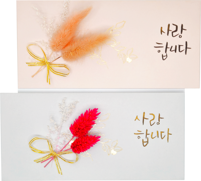 [르디브] 프리저브드 플라워 캘리그래피 고급 부모님 용돈 봉투, 민트+핑크