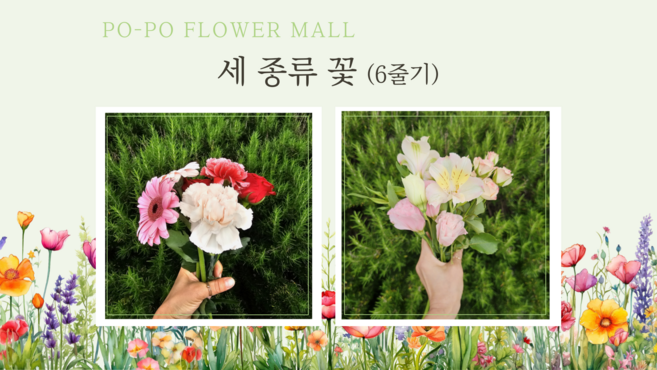 [포오포오플라워몰] 생화 꽃다발 세 종류꽃(6줄기) 생화꽃 택배 꽃테리어, 04) 세 종류꽃 +제주도 배송, 1개