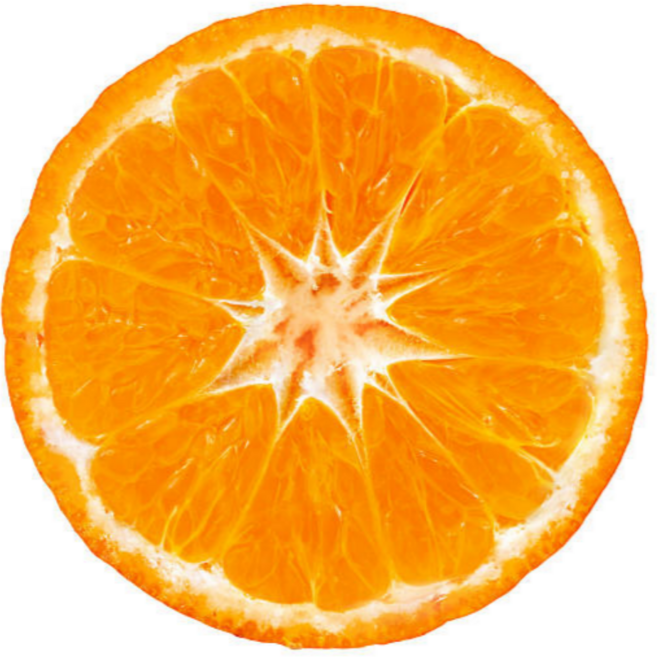 제주 황금향 밀감 천혜향 선물세트 신선한 생과, 1박스, 못난이 황금향 5kg 혼합과