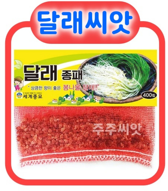 달래종패 400립 이색종자 달래씨앗 달래씨, 1개