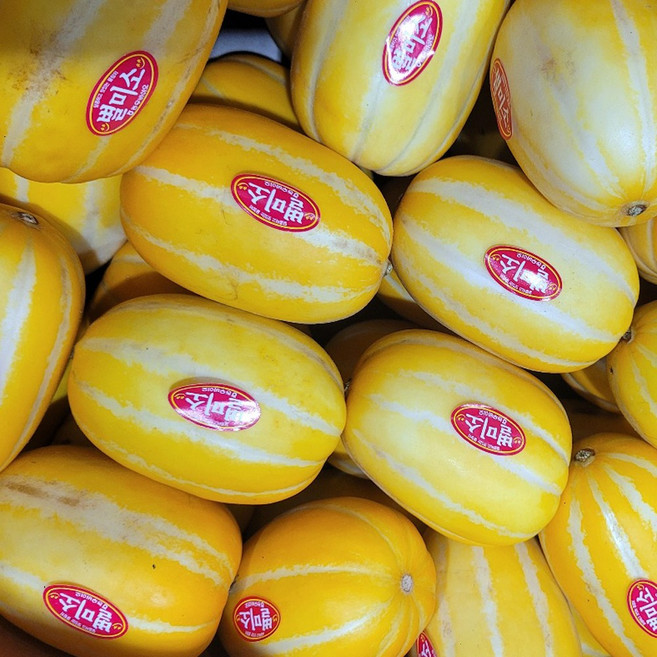 가정용 실속 참외 랜덤과 못난이 참외, 1박스, 3kg