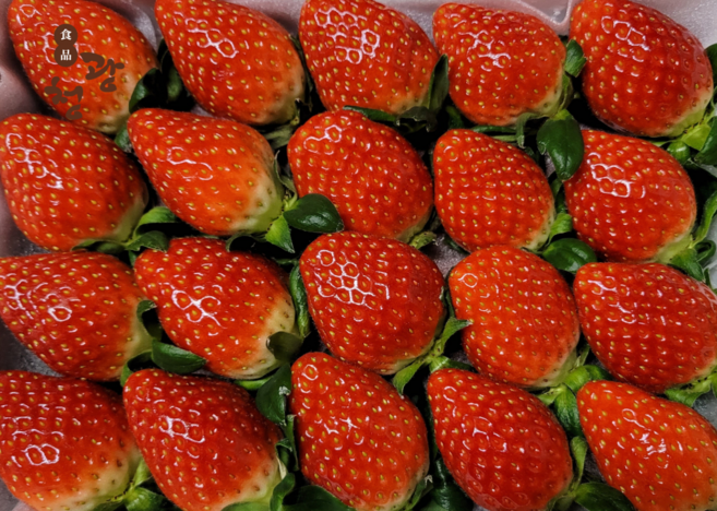 딸기 설향 금실 프리미엄 생딸기 산청, 1박스, 금실 딸기(20/24구) 750g