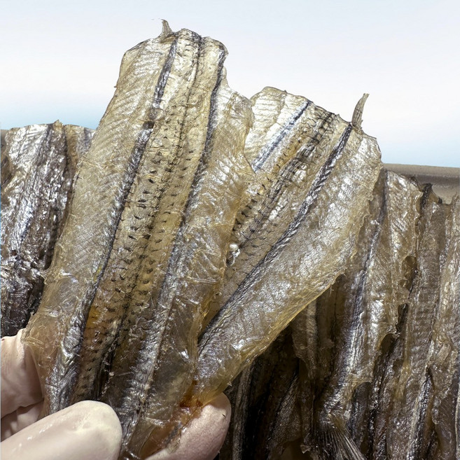 조미 학꽁치포 500g /마른 안주 꽁치포 조미 꽁치 삼천포 어포 건어물, 1개